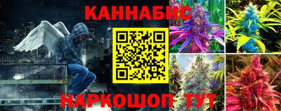 a pvp Гусь-Хрустальный