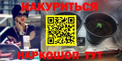 дурь Гусев