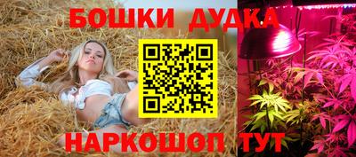 a pvp Гусь-Хрустальный