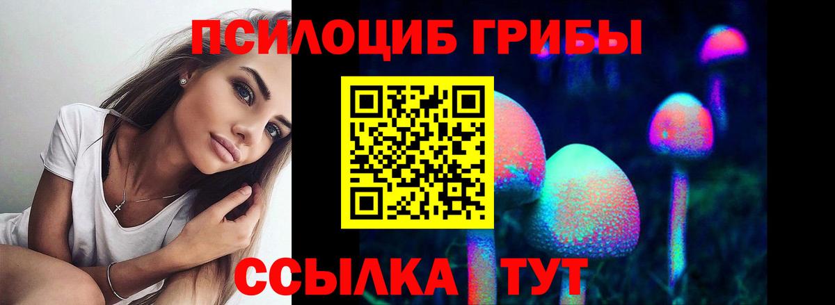 Якутск  Псилоцибиновые грибы GOLDEN TEACHER  Вход с VPN 